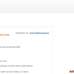 My Second Payment Proof from vworker
