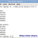 c read and write binary file