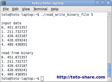 c read and write binary file