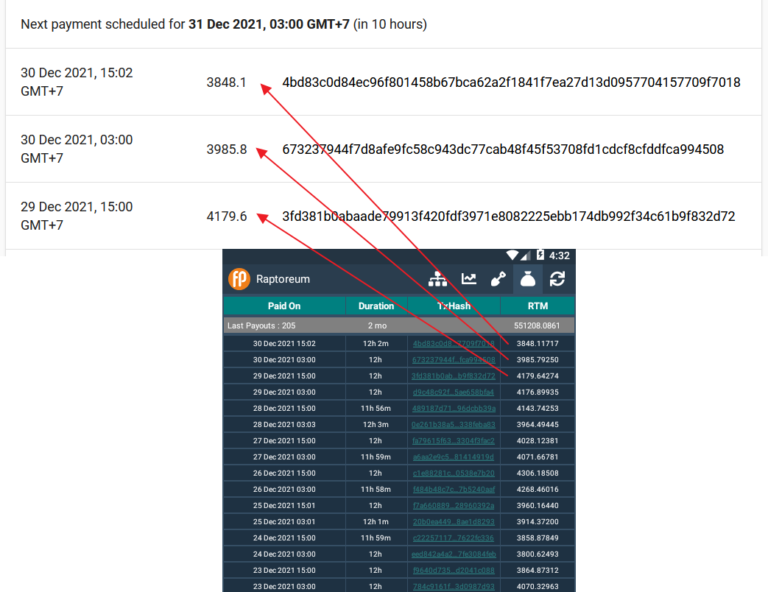 Flockpool Payments History