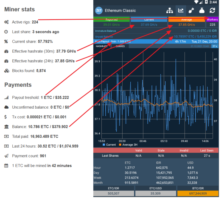 ZetPool Miner Info