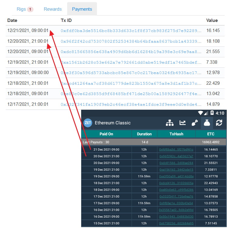 ZetPool Payment History