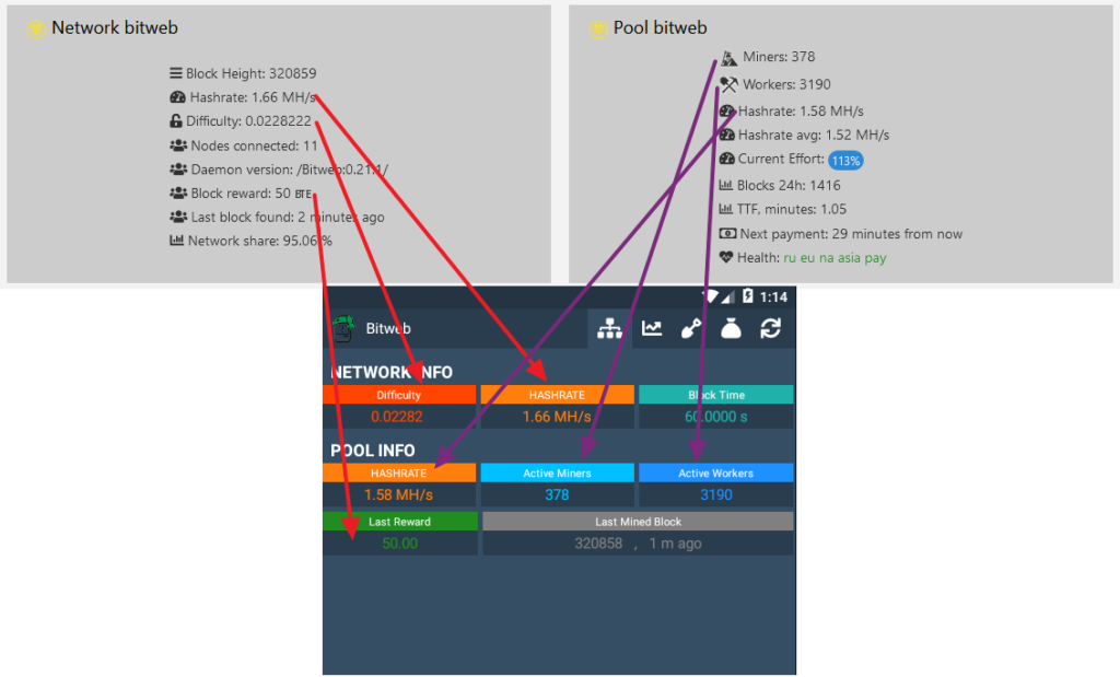 Rplant Network and Pool Information